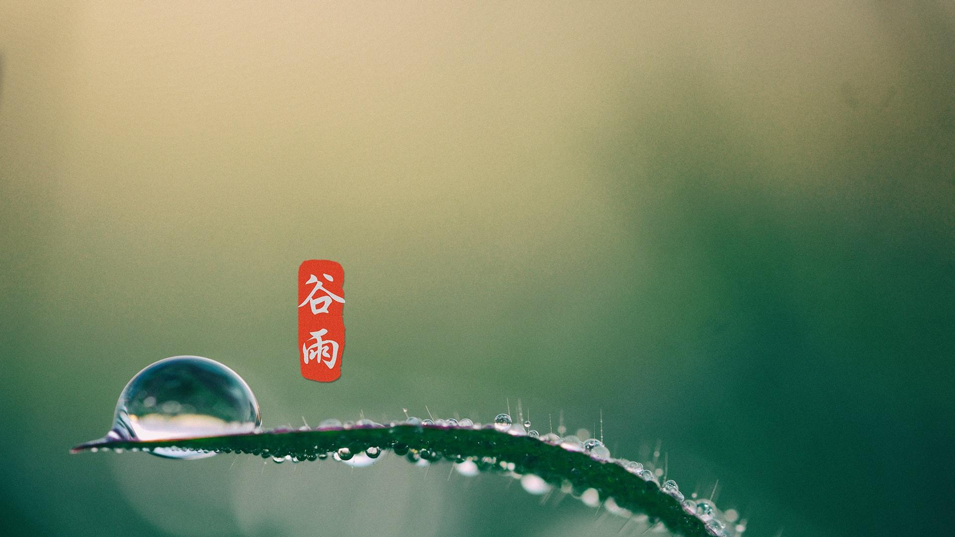 节气谷雨高清桌面壁纸图片