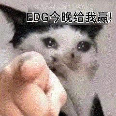 EDG夺冠表情包