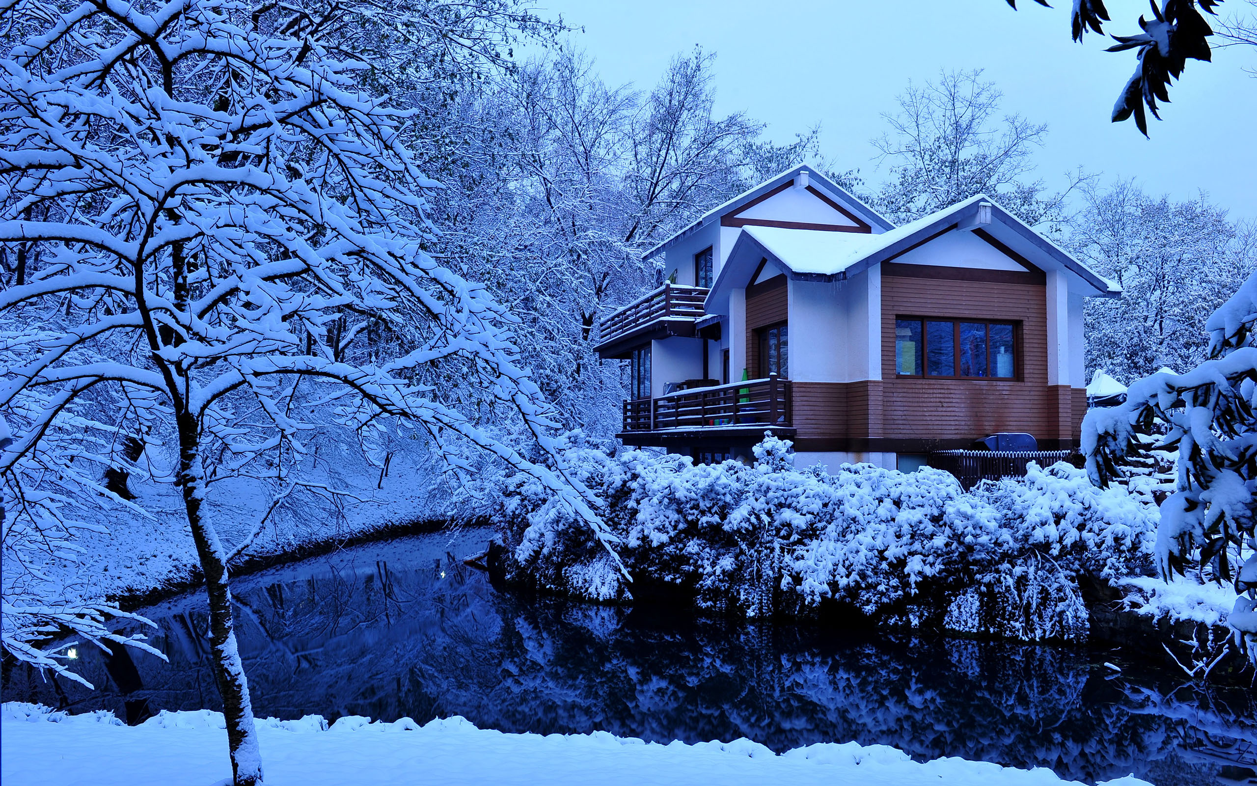 小雪节气之雪花美景图片壁纸