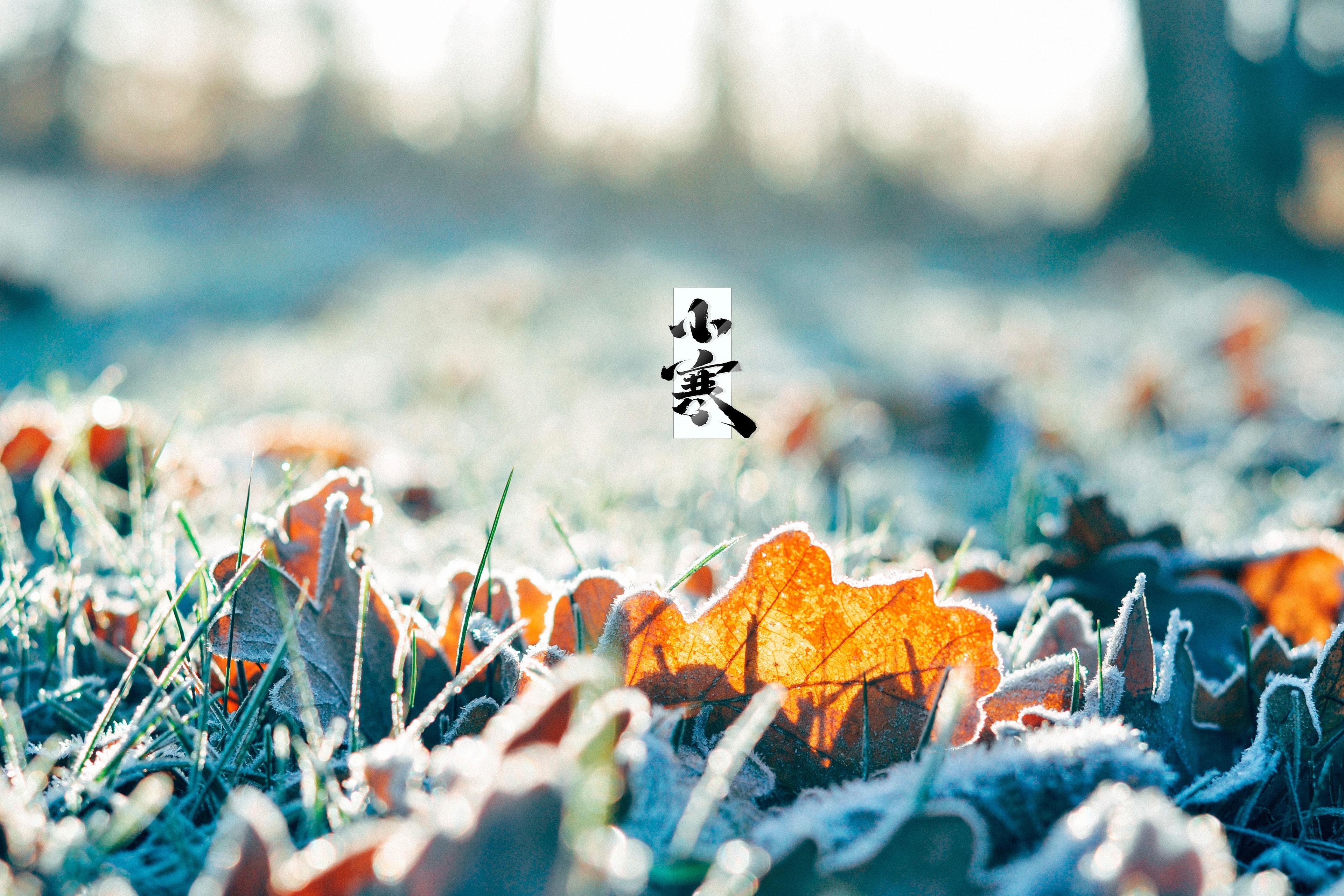 节气小寒之雪花美景图片壁纸