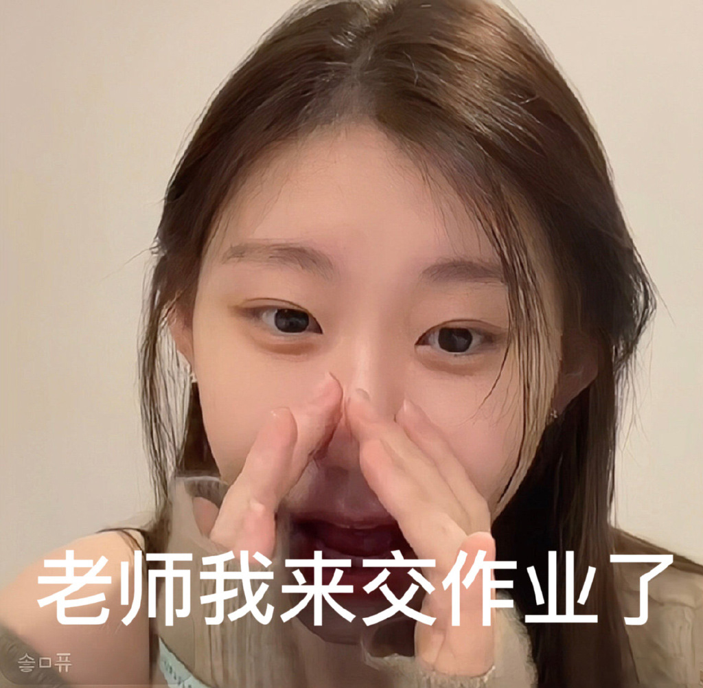 李彩领交作业表情包