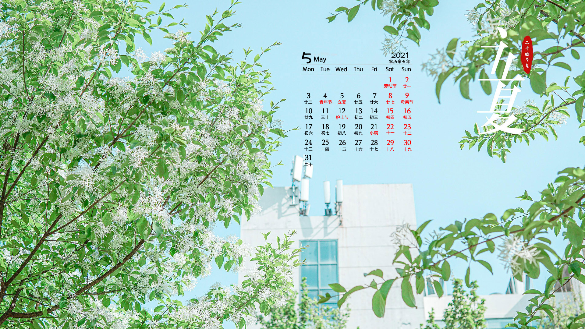 2021年5月立夏节气电脑日历壁纸