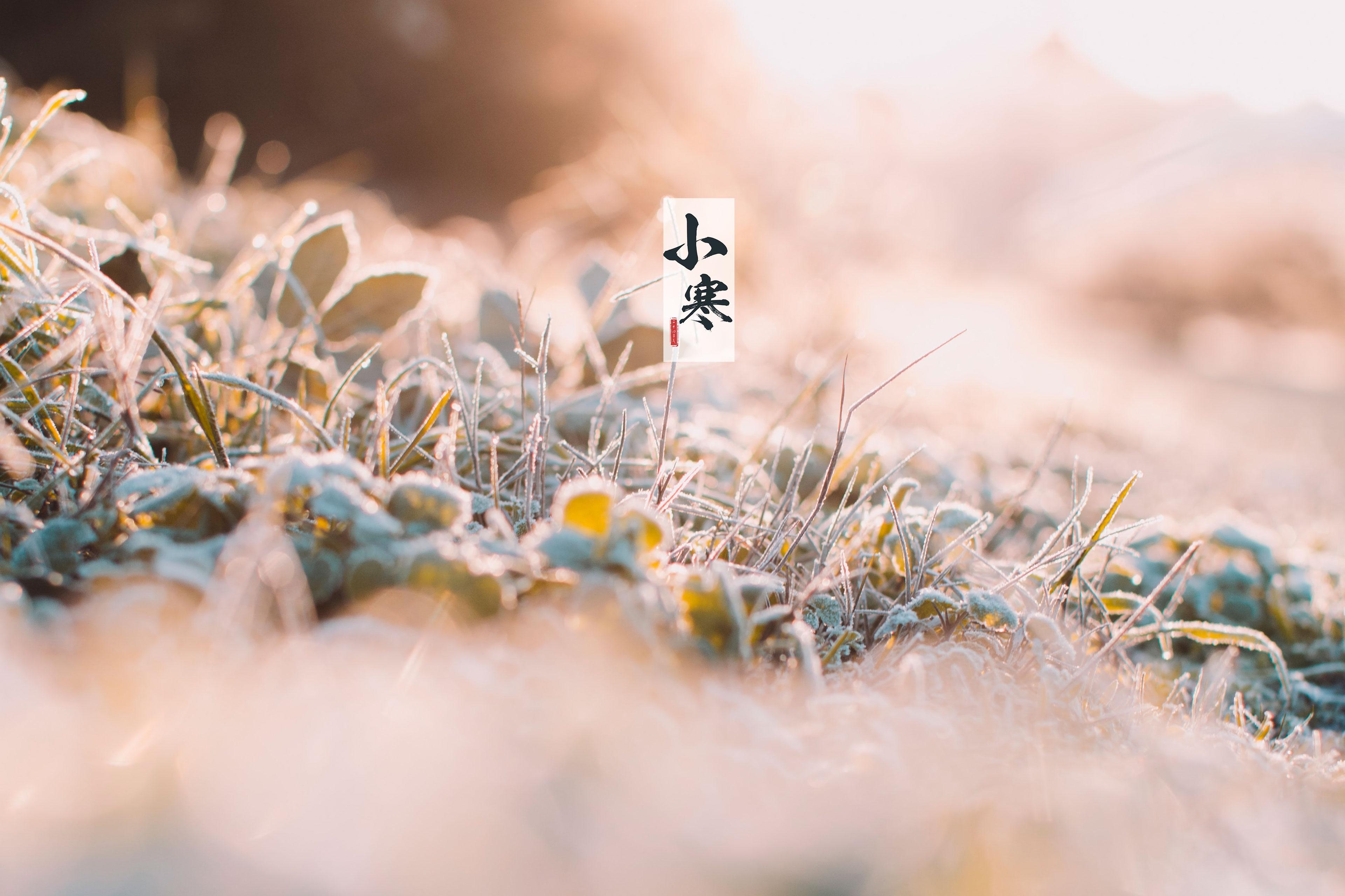 节气小寒之雪花美景图片壁纸