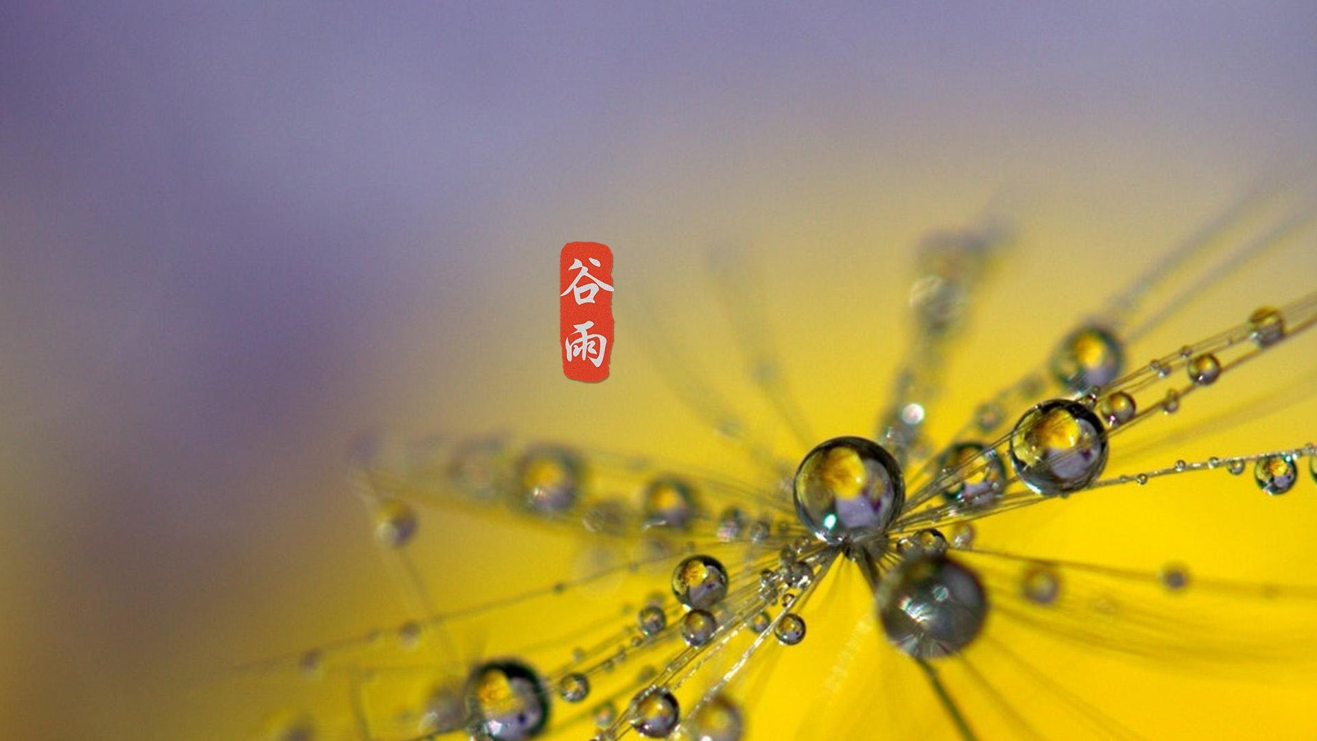 谷雨二十四节气高清图片桌面壁纸