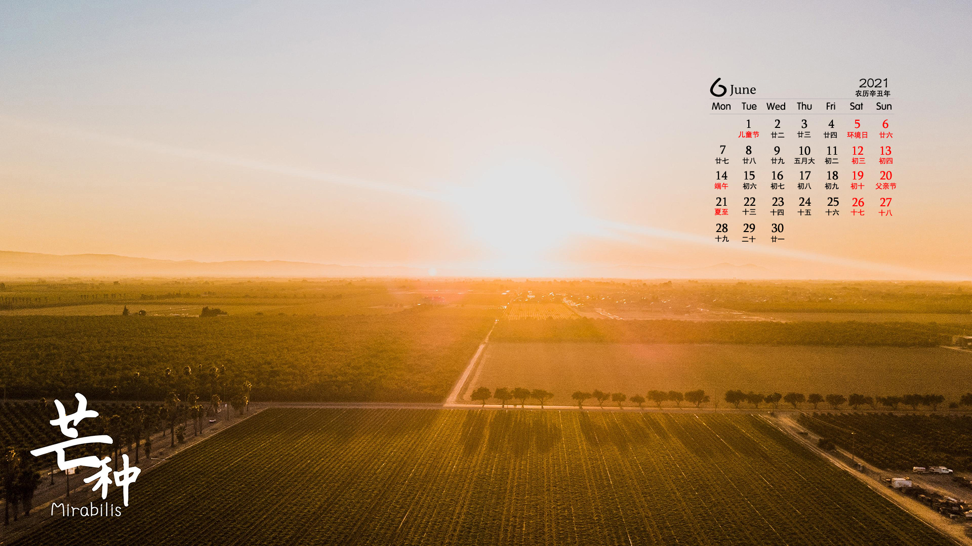 2021年6月芒种桌面日历壁纸图片