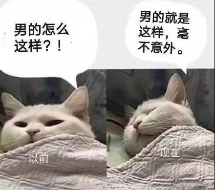 怼恶俗男必备表情包