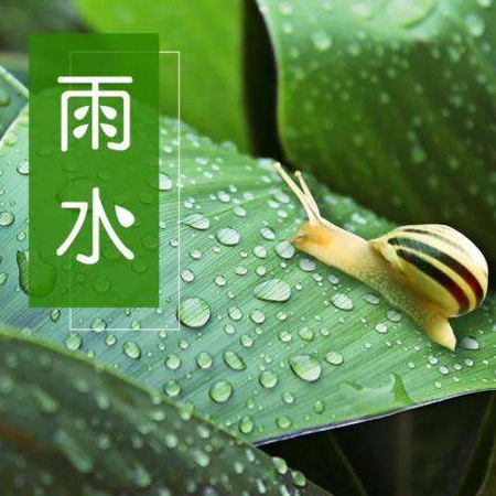 雨水节气唯美图片高清