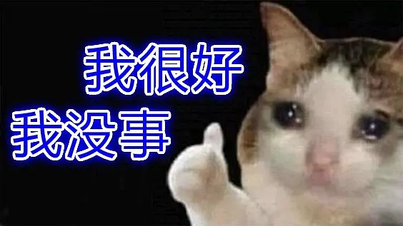 流泪猫猫头表情包汇总