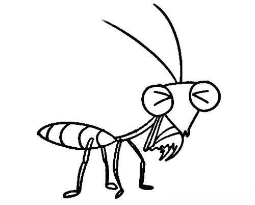 昆虫螳螂简笔画图片