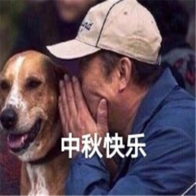 中秋节可爱又沙雕的表情包