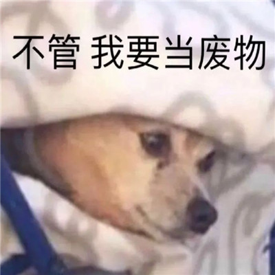 我是废物表情包图片