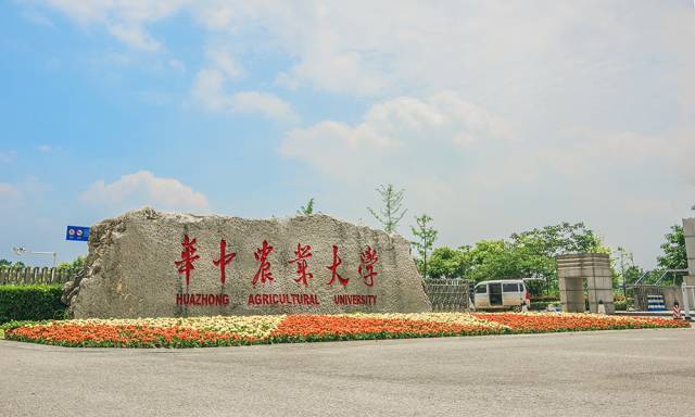 华中农业大学校园风景图片