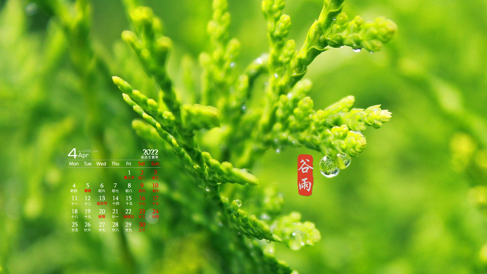 2022年4月节气谷雨日历壁纸