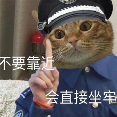 小猫咪警察搞笑表情包图片