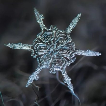 雪花放大100倍会是什么样子