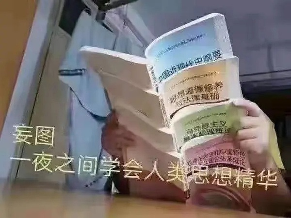 学渣表情包