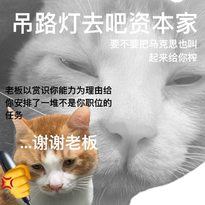 阴阳怪气猫咪表情包