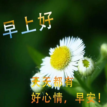 早上好带字的祝福语最新图片