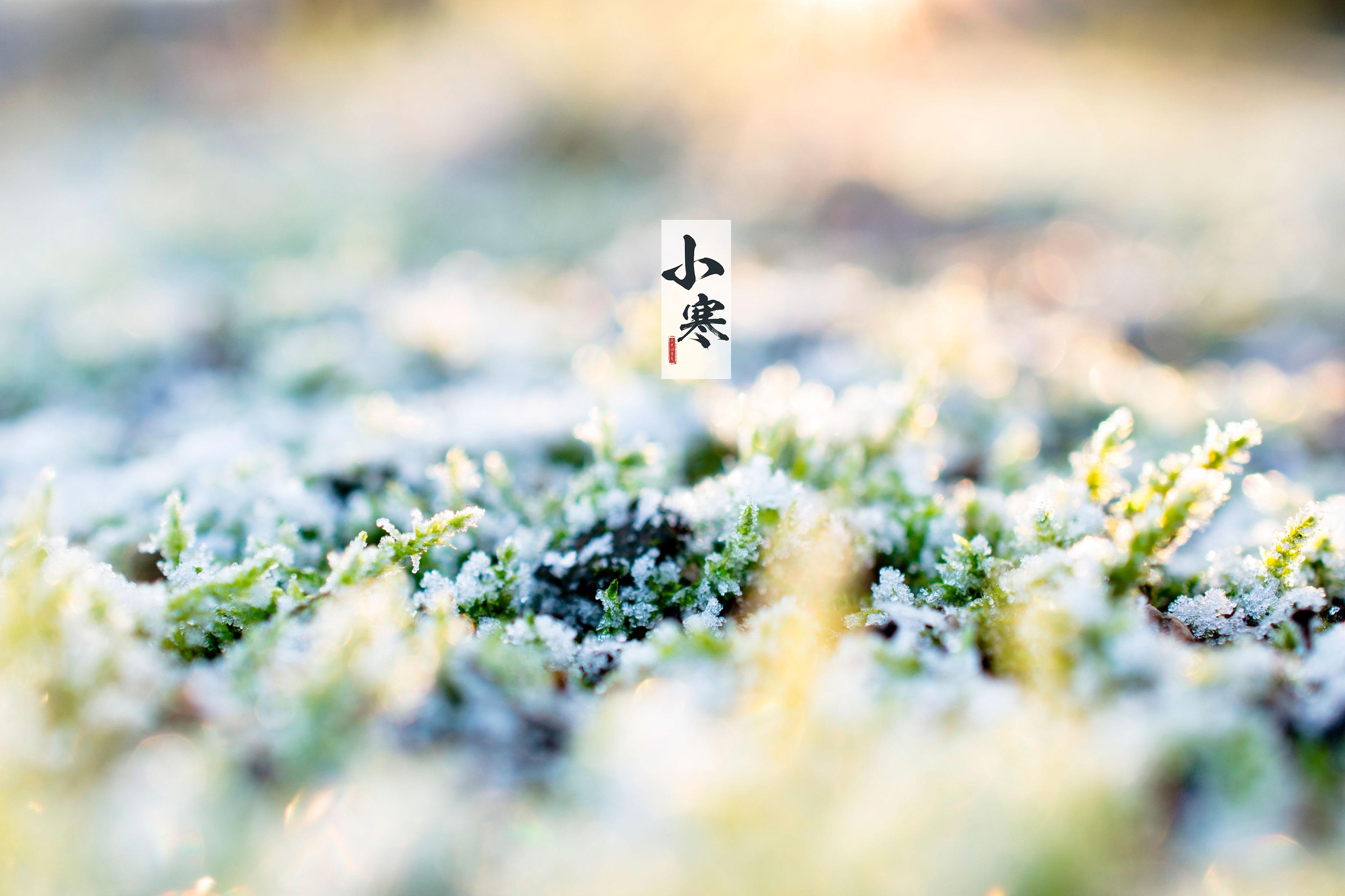 节气小寒之雪花美景图片壁纸