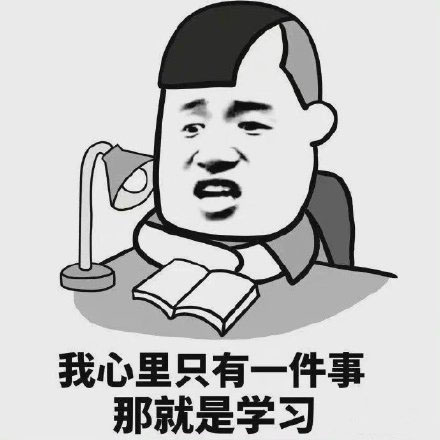 青年大学习熊猫头表情包