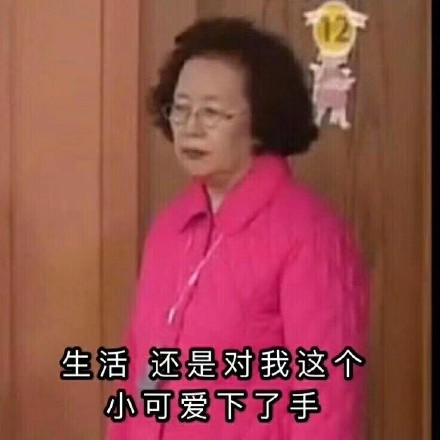 罗文姬女士实用表情包