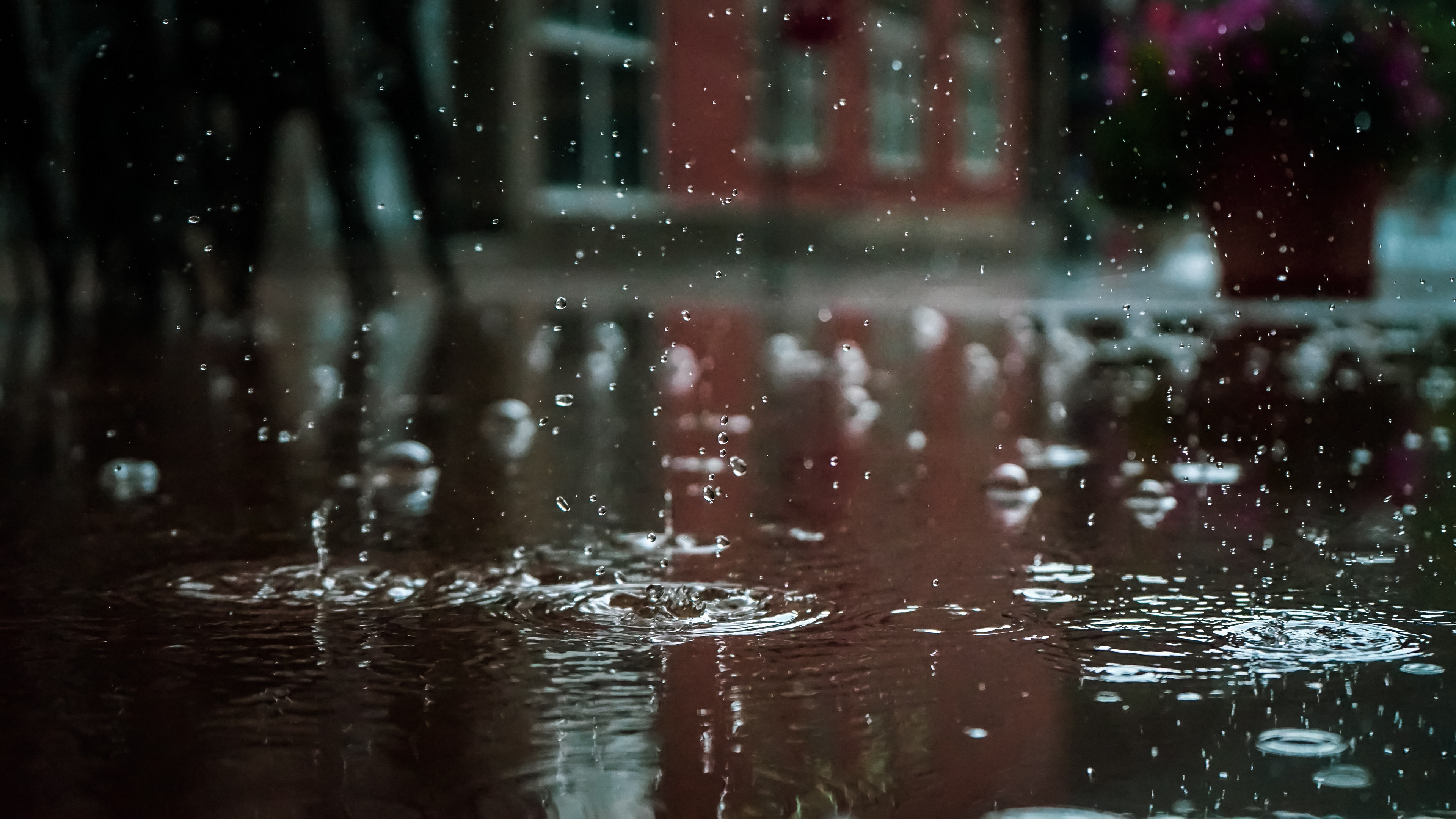 雨中的雨滴图片桌面壁纸