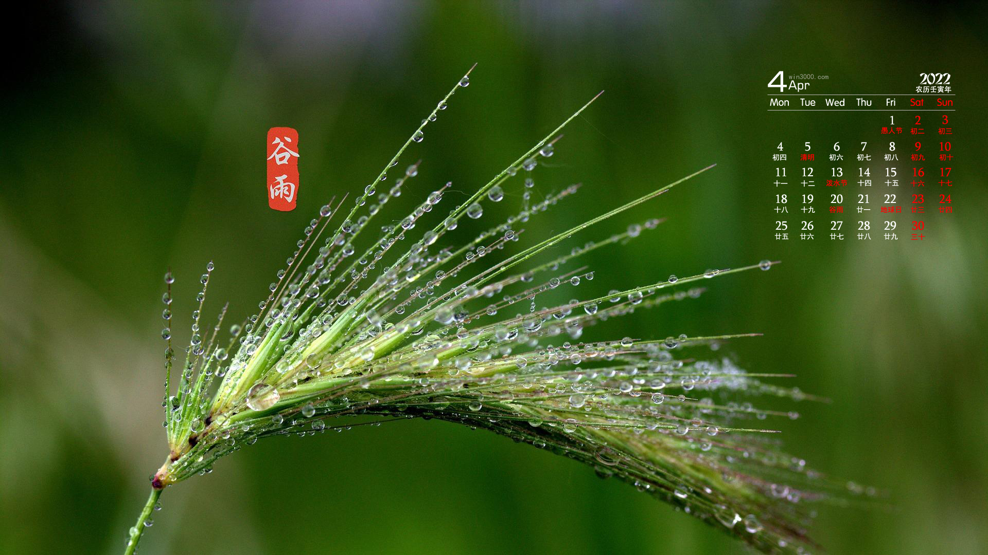 2022年4月节气谷雨日历壁纸