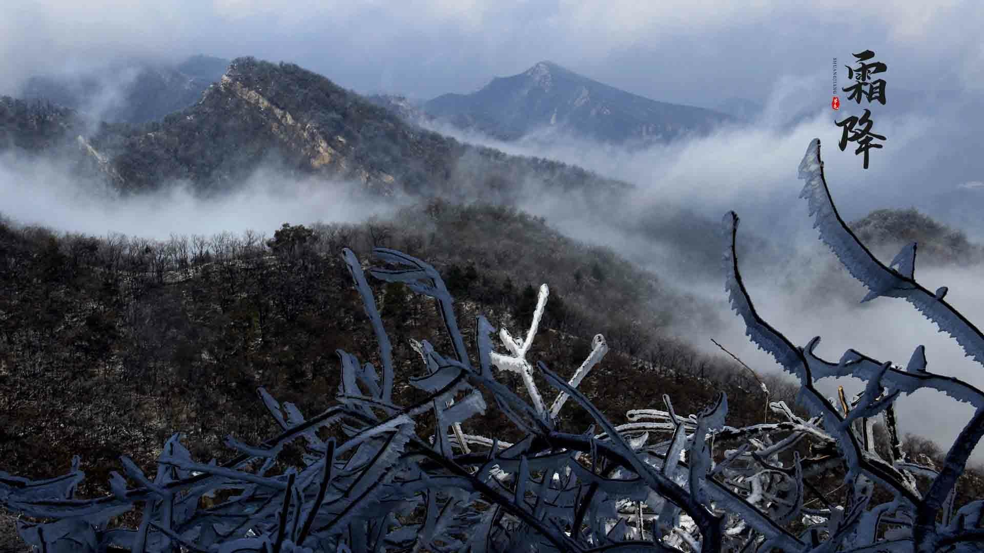 24节气霜降图片桌面壁纸