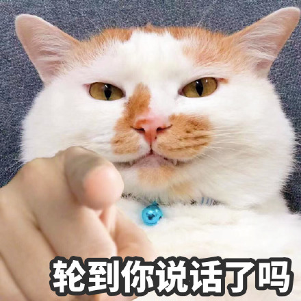 猫猫指人表情包