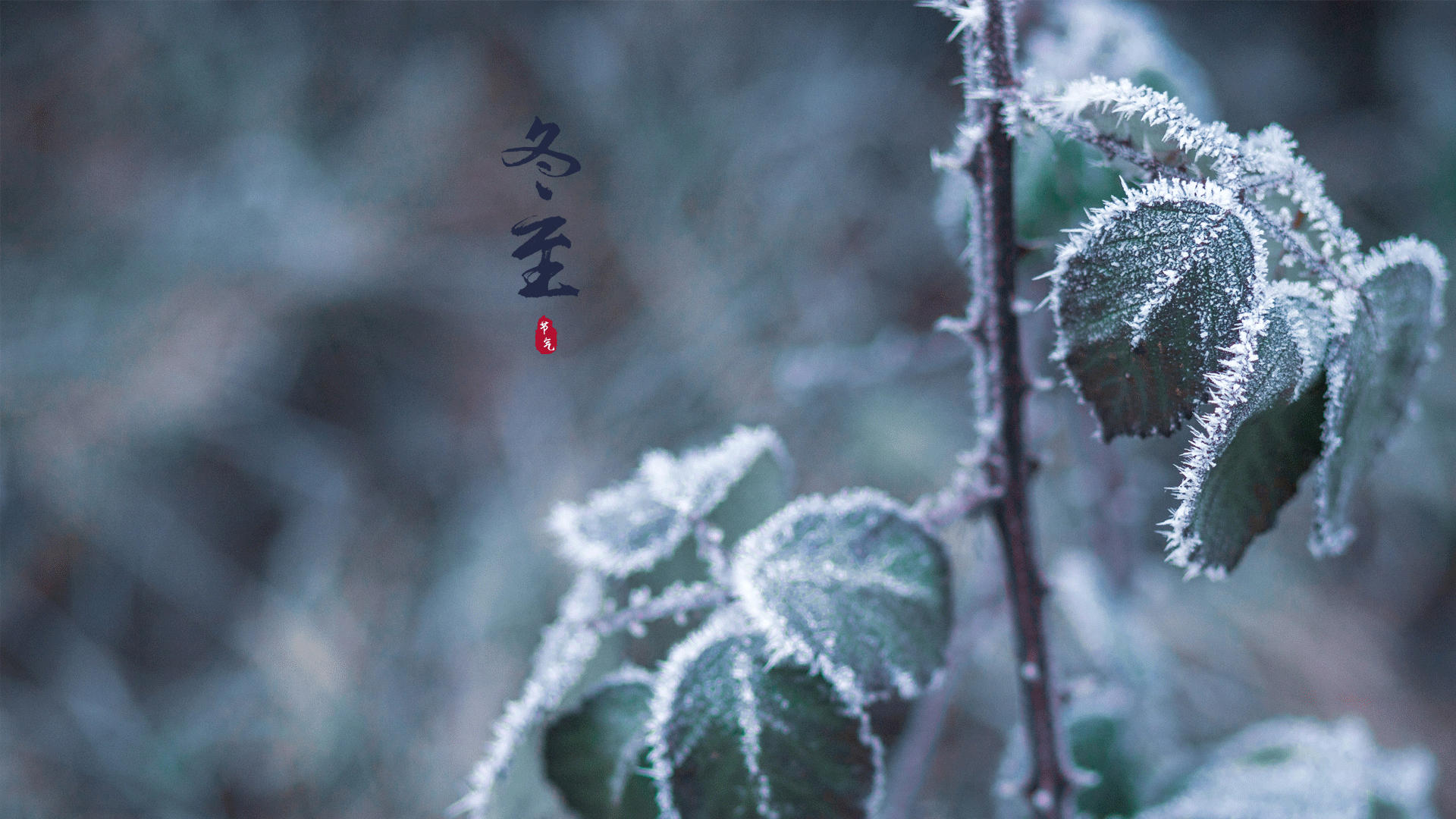 最美的冬至美景图片桌面壁纸