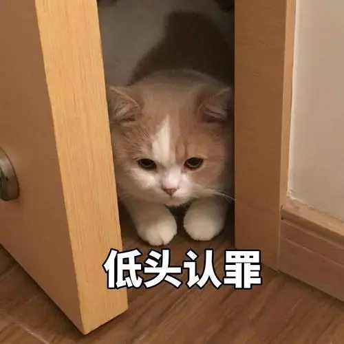 猫咪出轨表情包