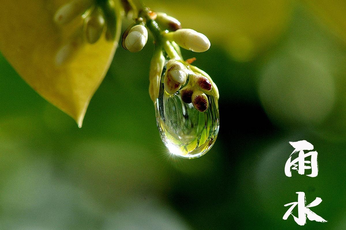 24节气之雨水时节图片壁纸