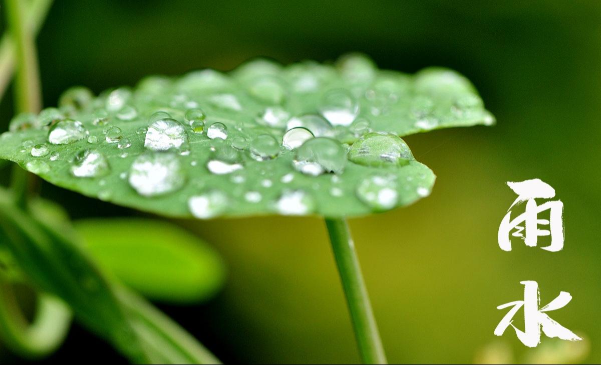 24节气之雨水时节图片壁纸