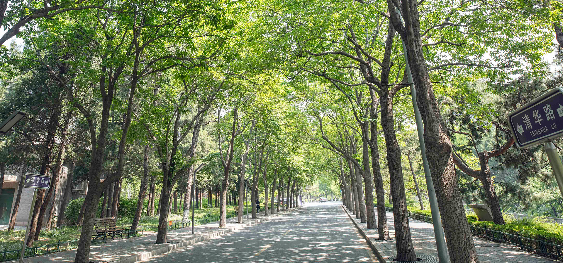 清华大学校园风景图片