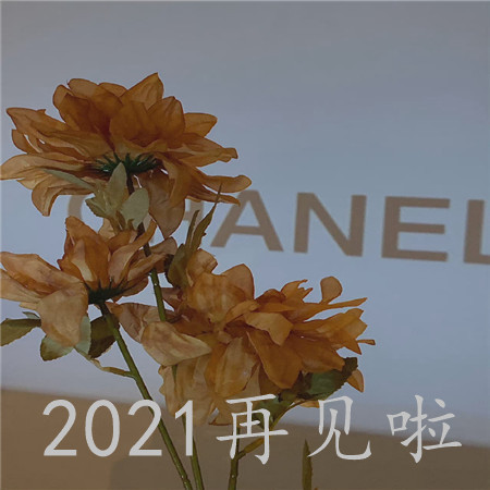 2021再见唯美图片素材