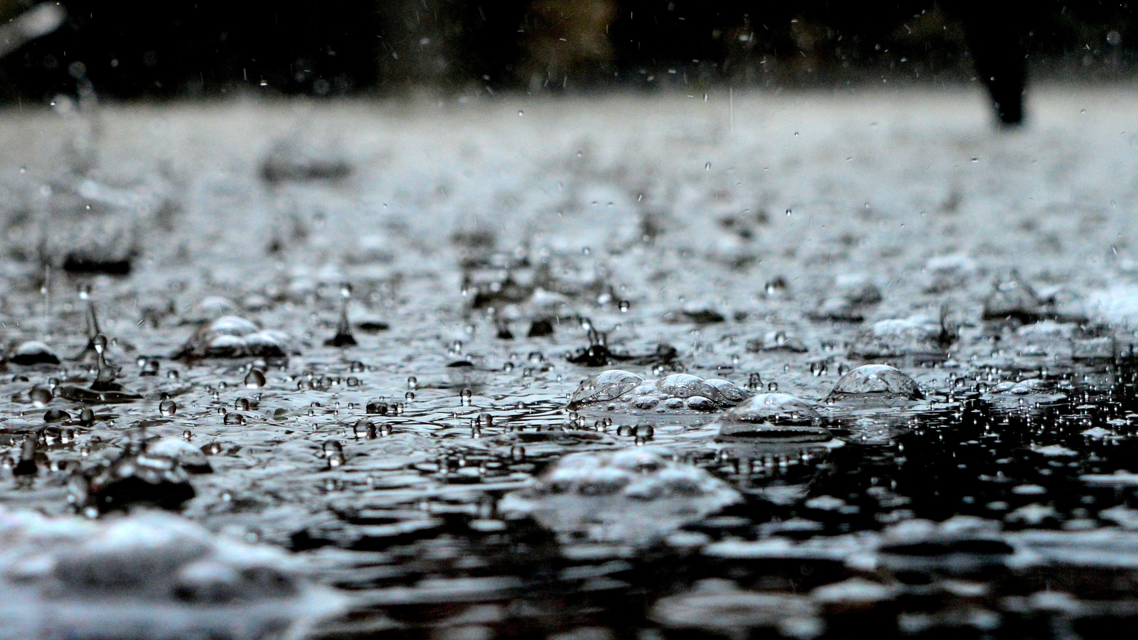 雨中的雨滴图片桌面壁纸