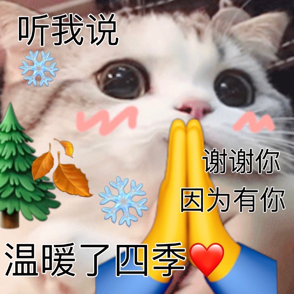 听我说谢谢你猫咪表情包