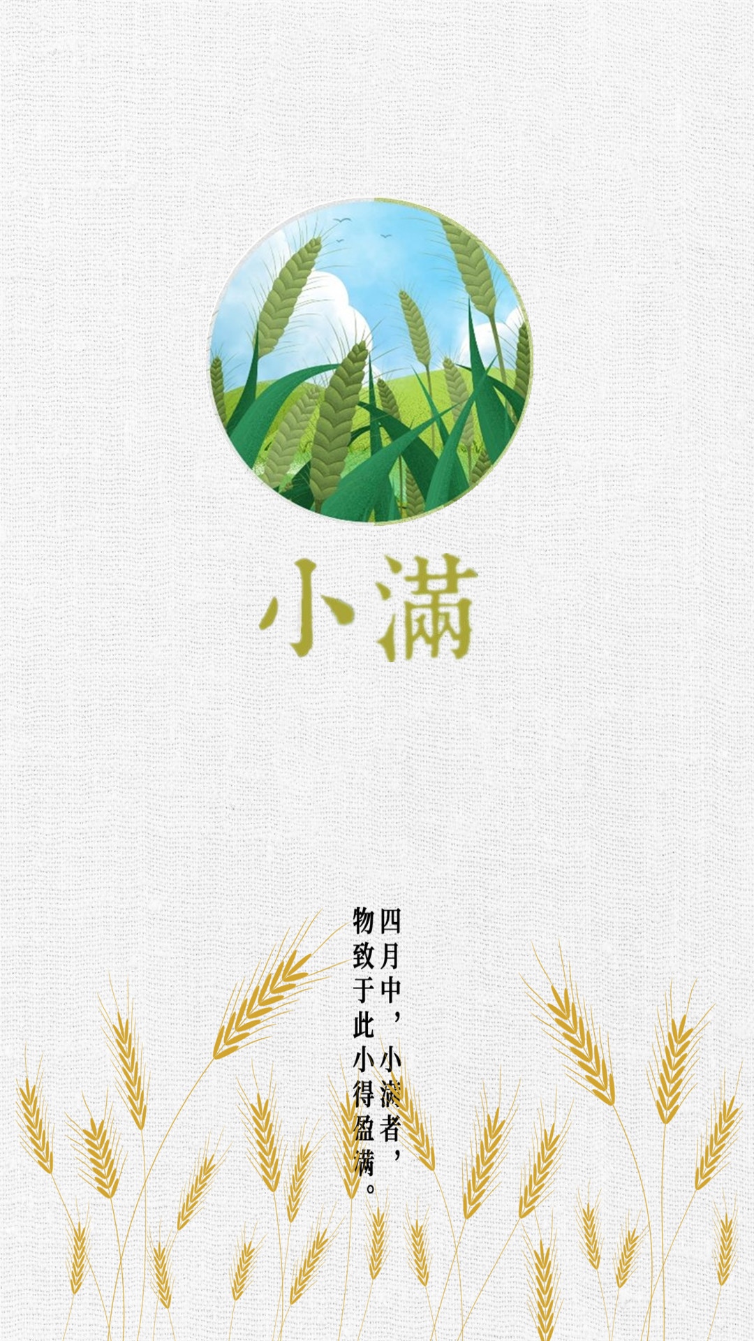 小满时节唯美高清手机壁纸