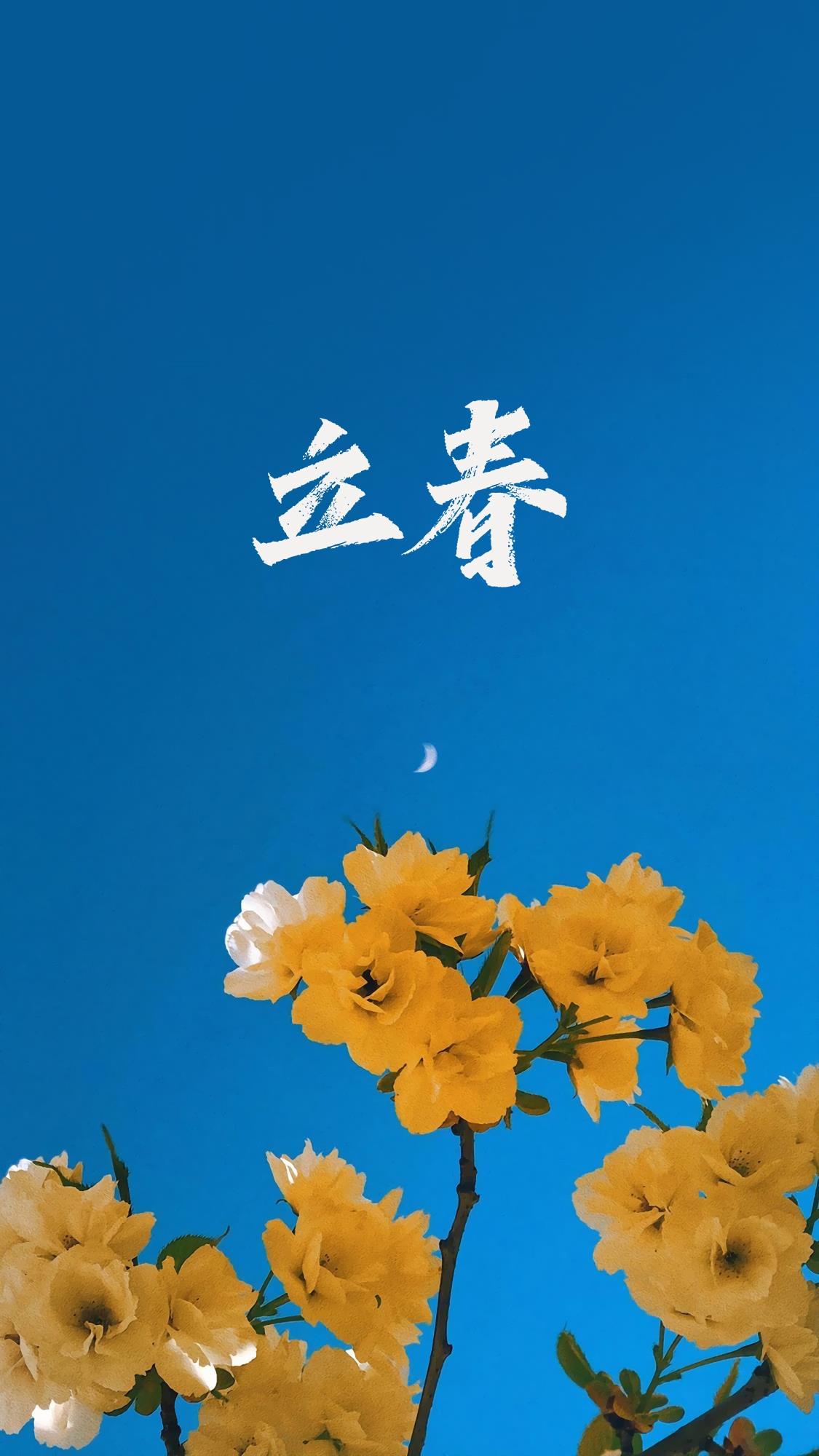 立春时节之花朵手机壁纸图片