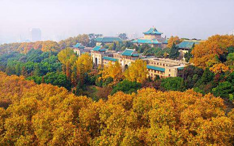 武汉大学校园风景图片