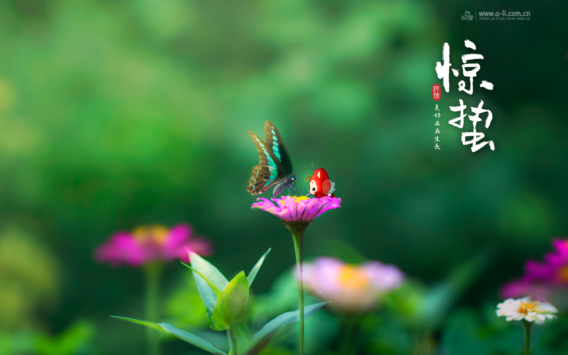 惊蛰节气之清新风景壁纸