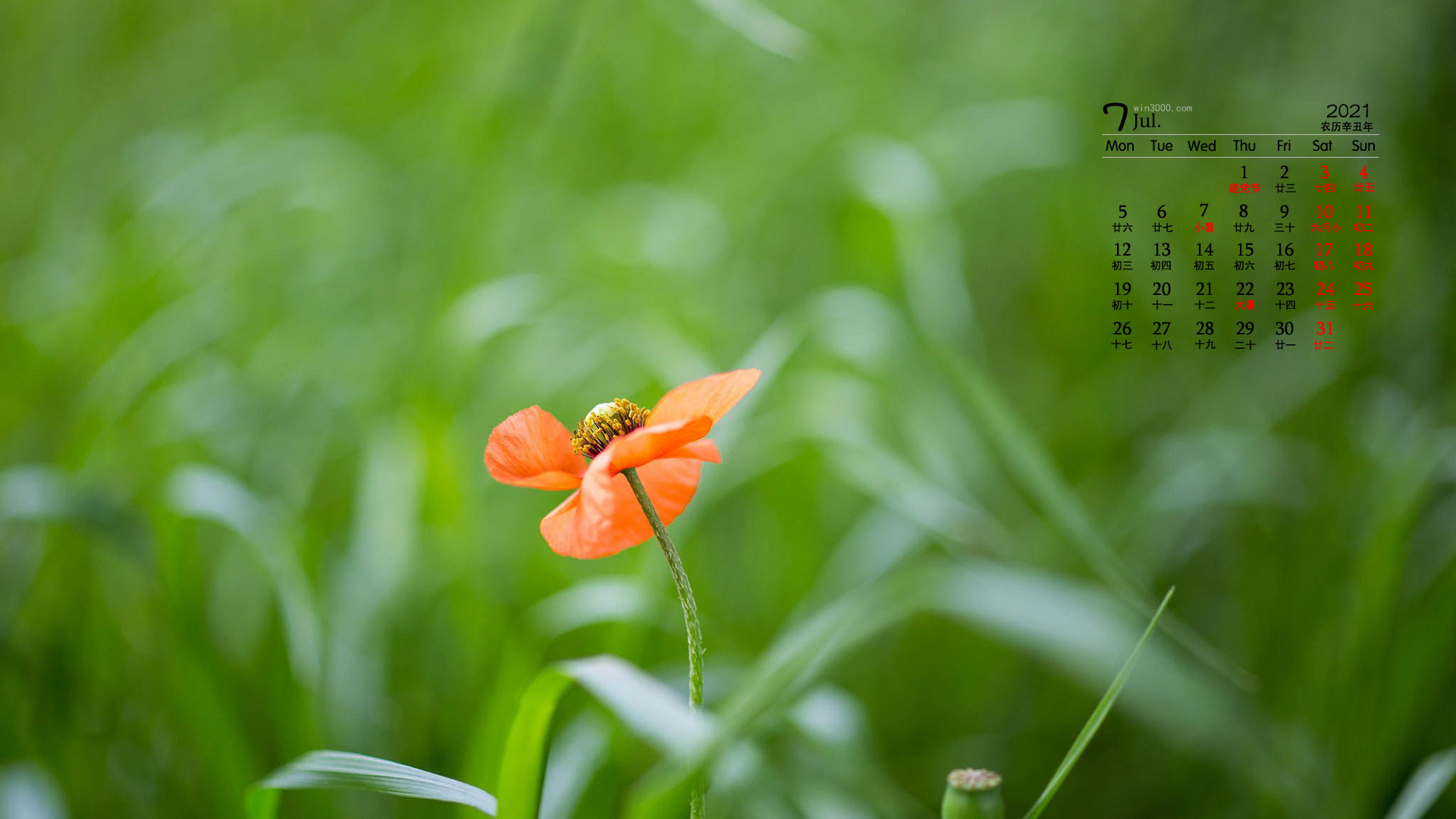 2021年7月清新淡雅的花朵桌面日历壁纸