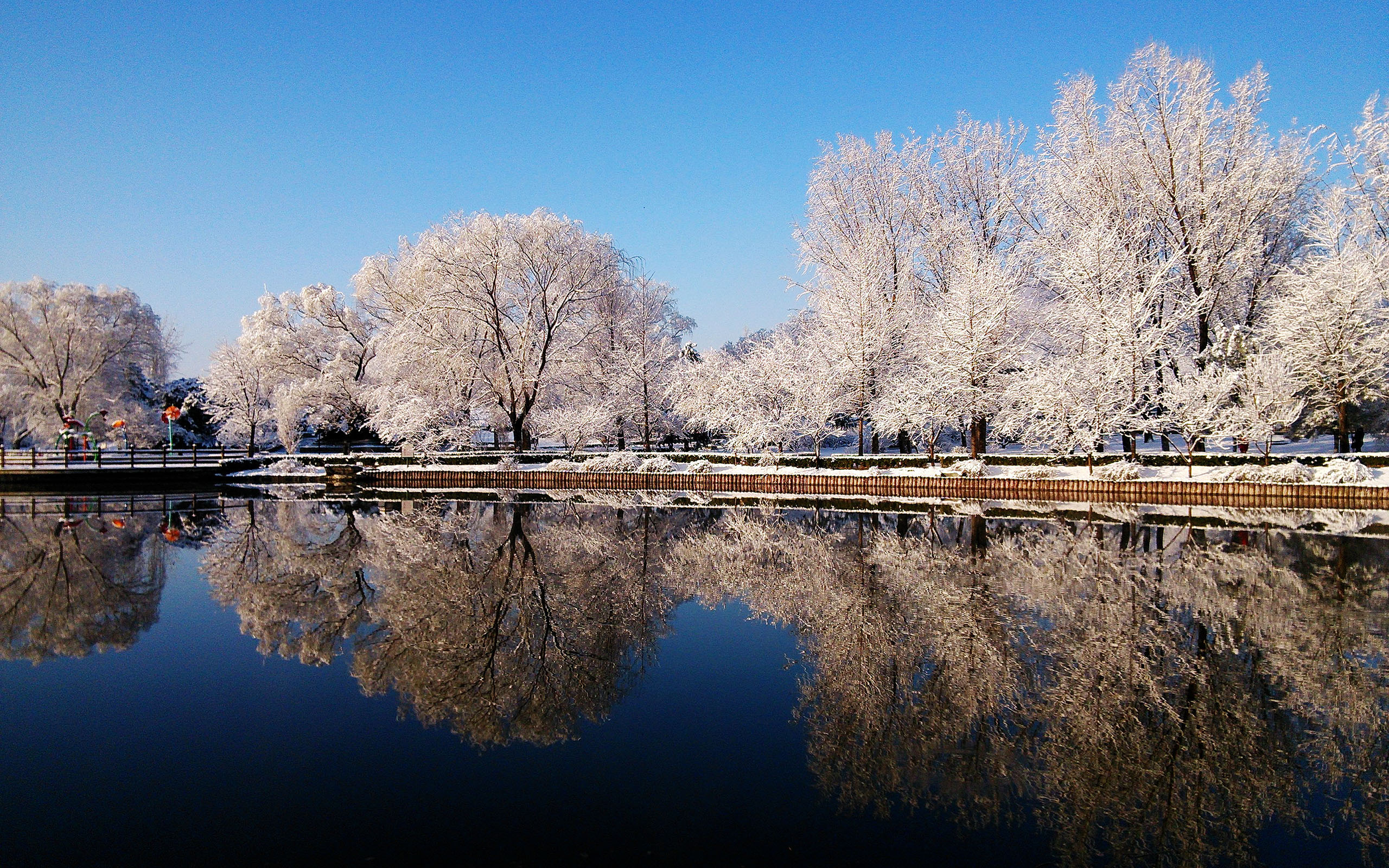 小雪节气之雪花美景图片壁纸