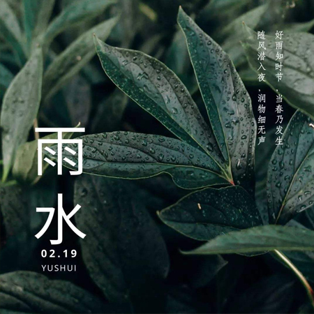 雨水节气唯美图片高清