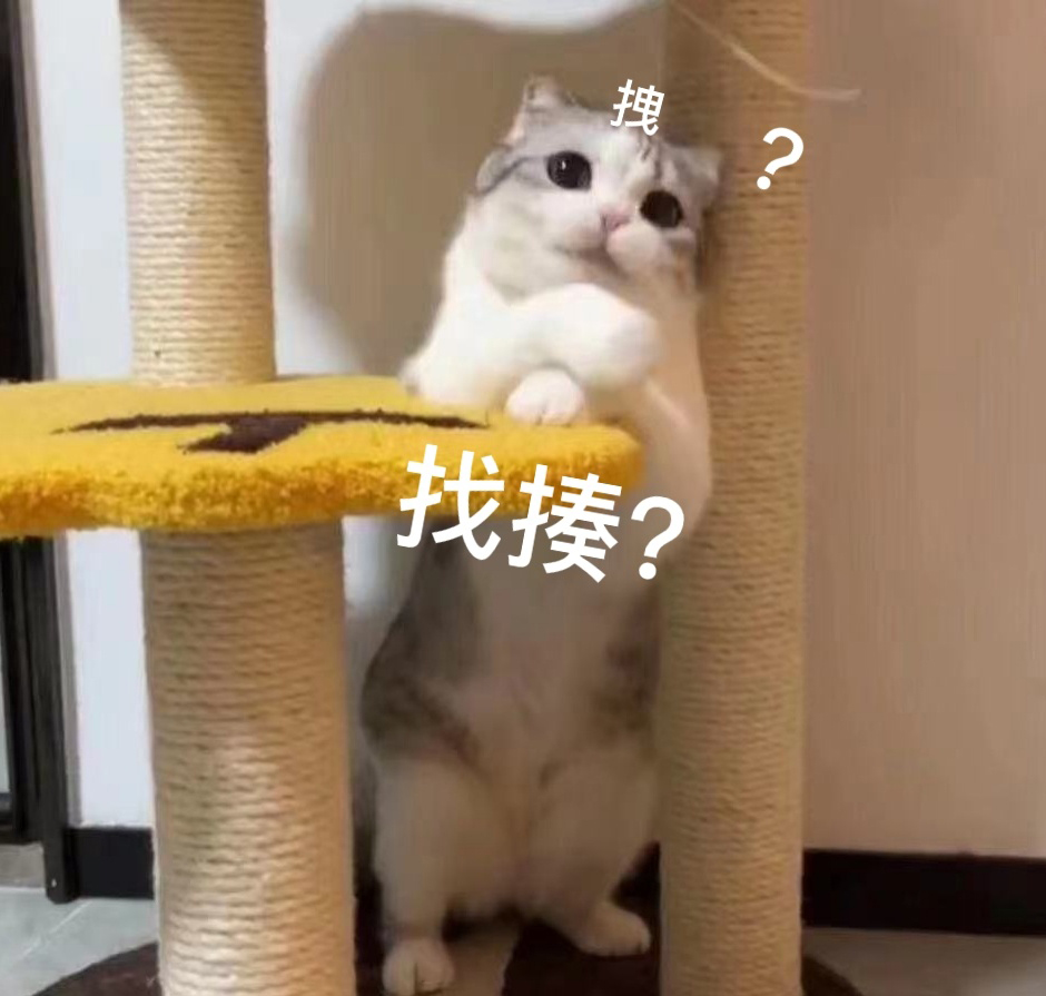 猫咪泡芙表情包 小泡芙表情包 ​​​​