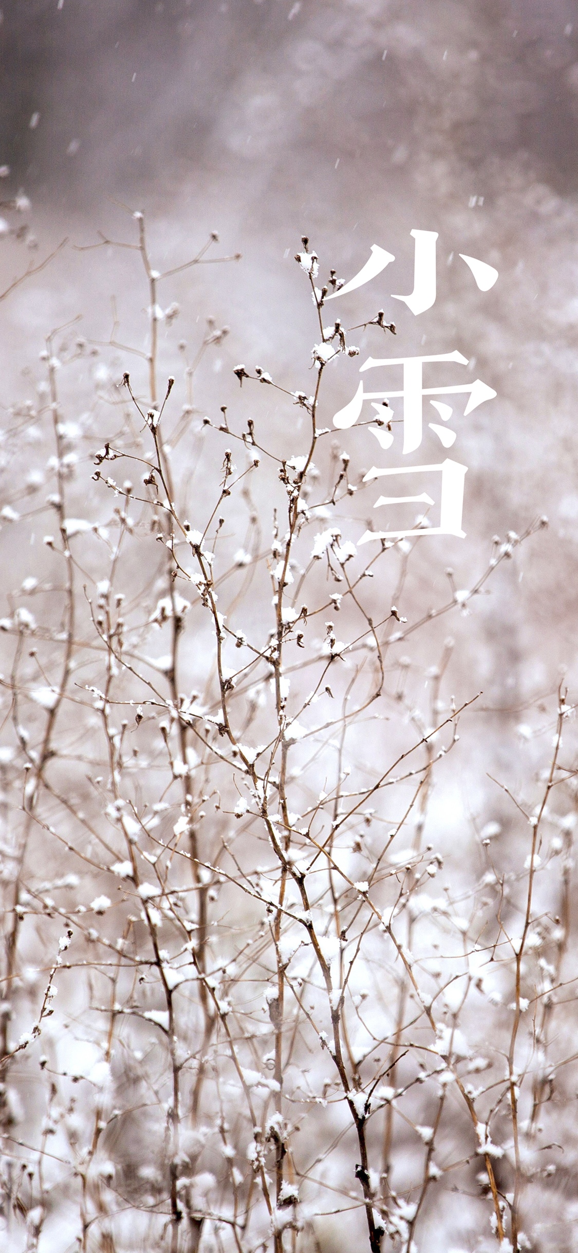 节气小雪之雪人手机壁纸图片