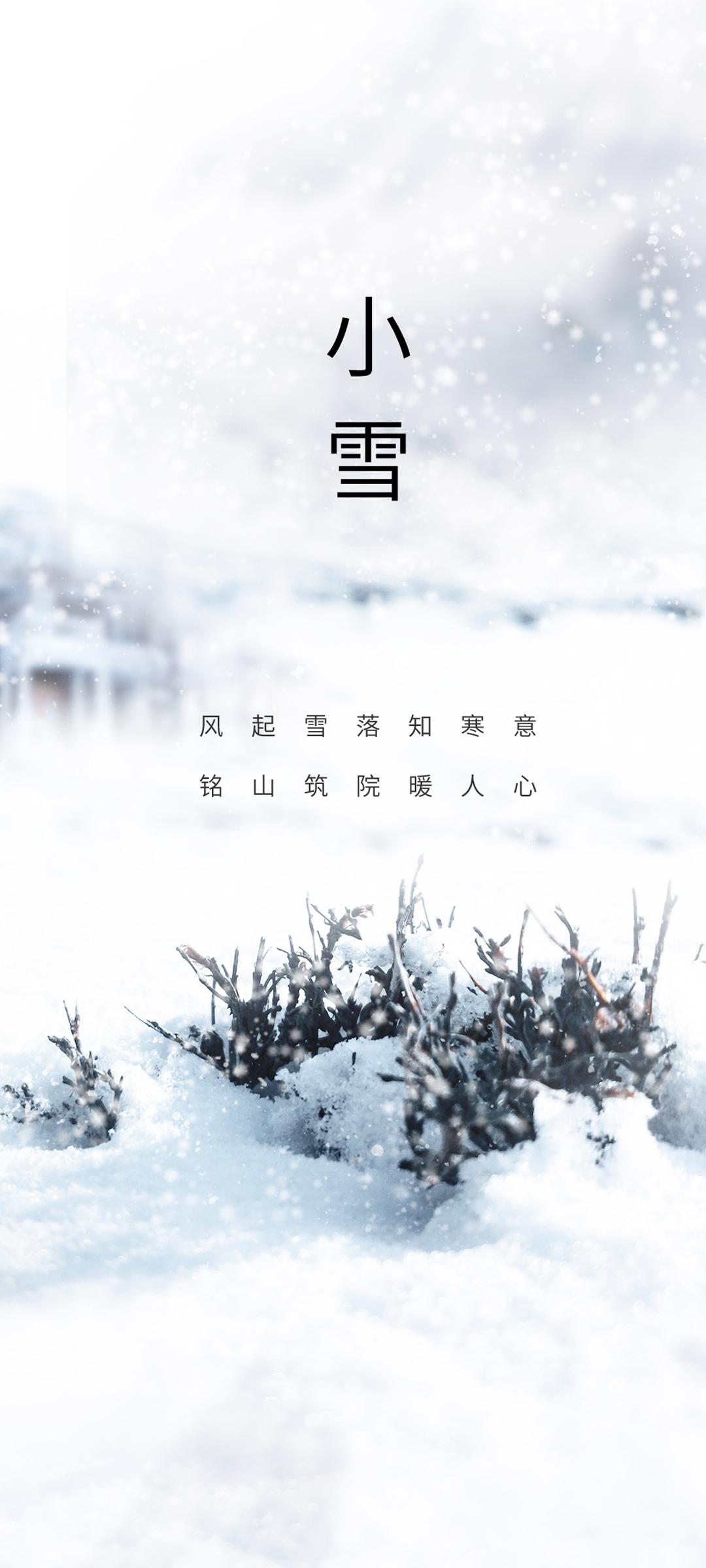 节气小雪海报图片手机壁纸