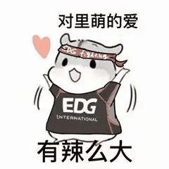 EDG夺冠表情包