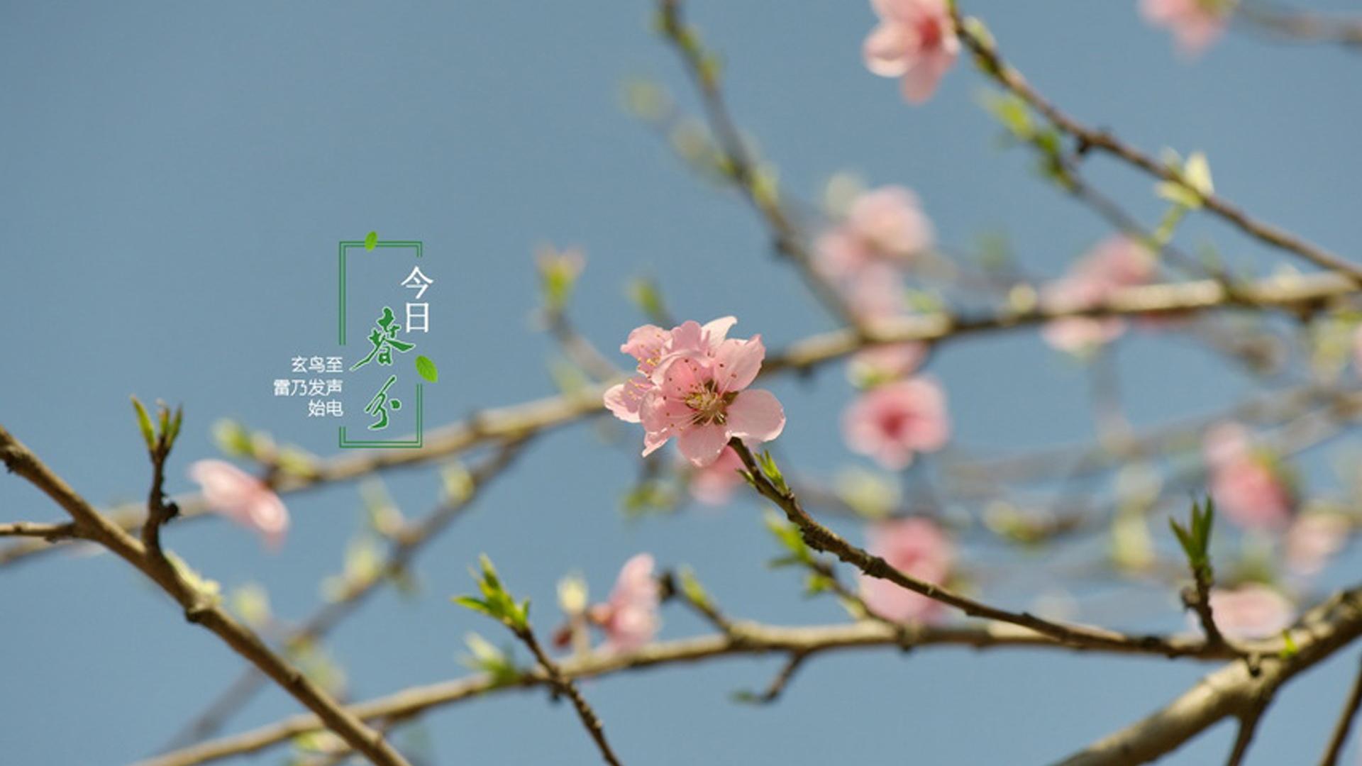 春分时节唯美风景图片壁纸