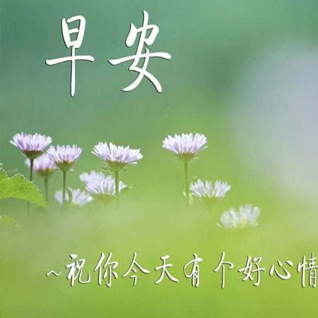 早上好带字的祝福语最新图片